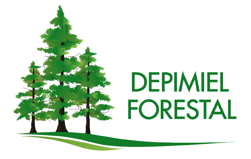 Depimiel SRL