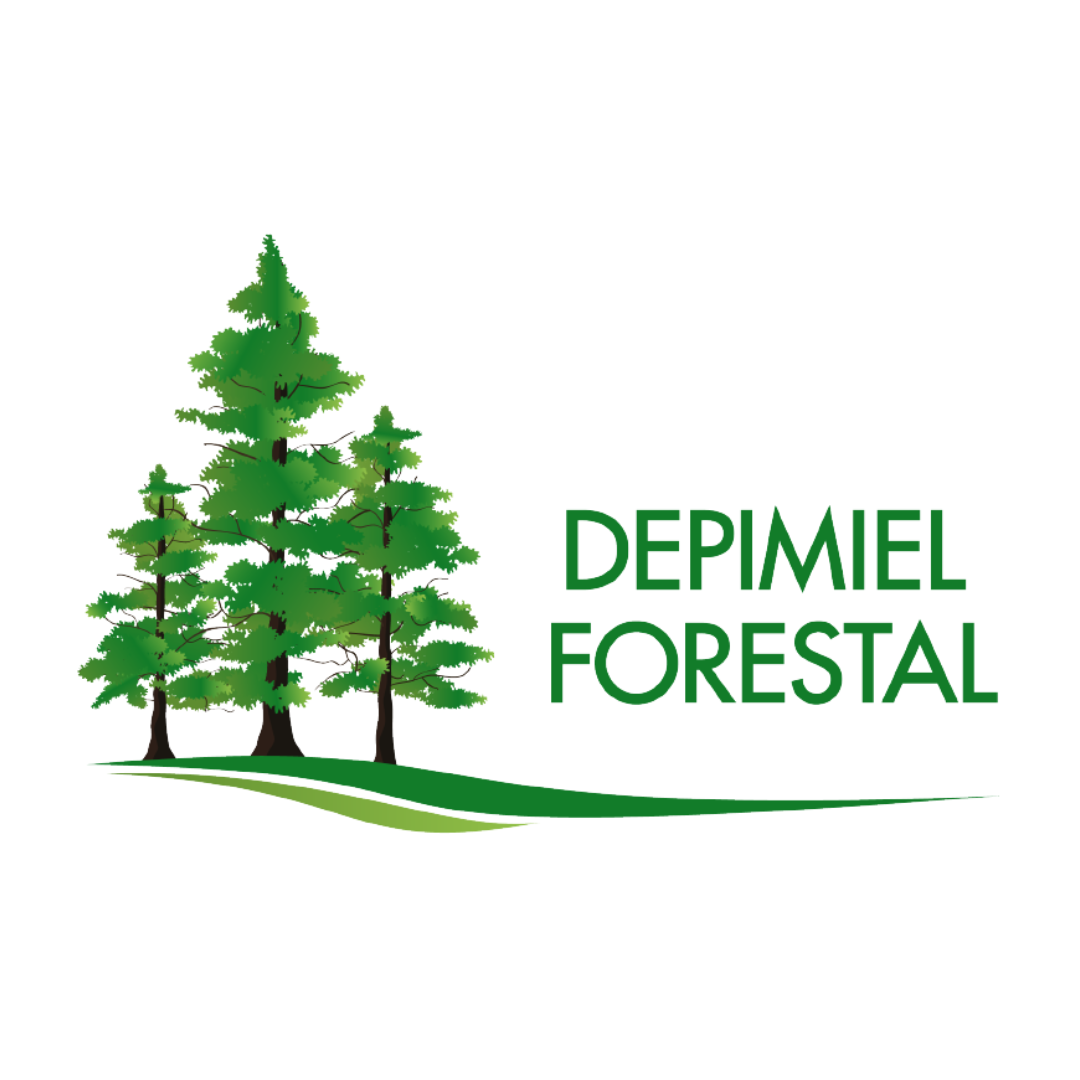 Depimiel SRL